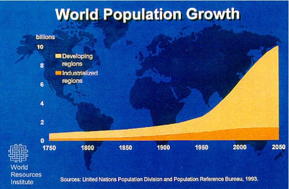 World population estimate